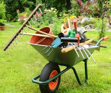 Tuinonderhoud