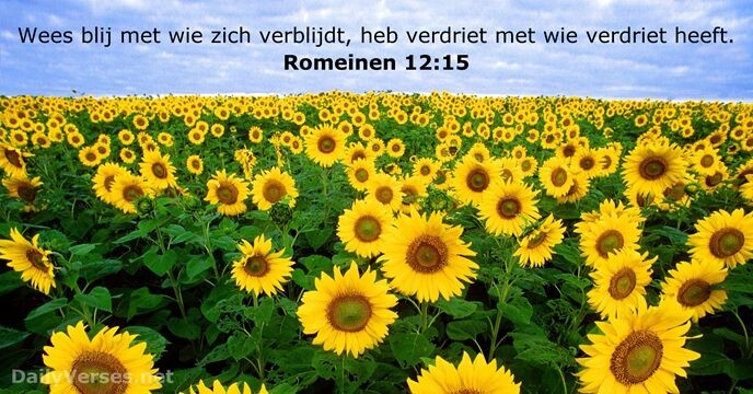In vreugde en verdriet