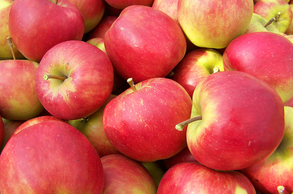 Wat doen we met de oogst?